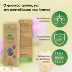 milk thistle Natural vitamins αποτοξίνωση του ήπατος