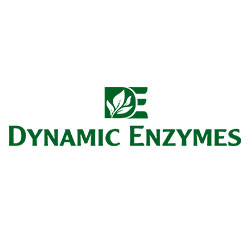Dynamic Enzymes logo