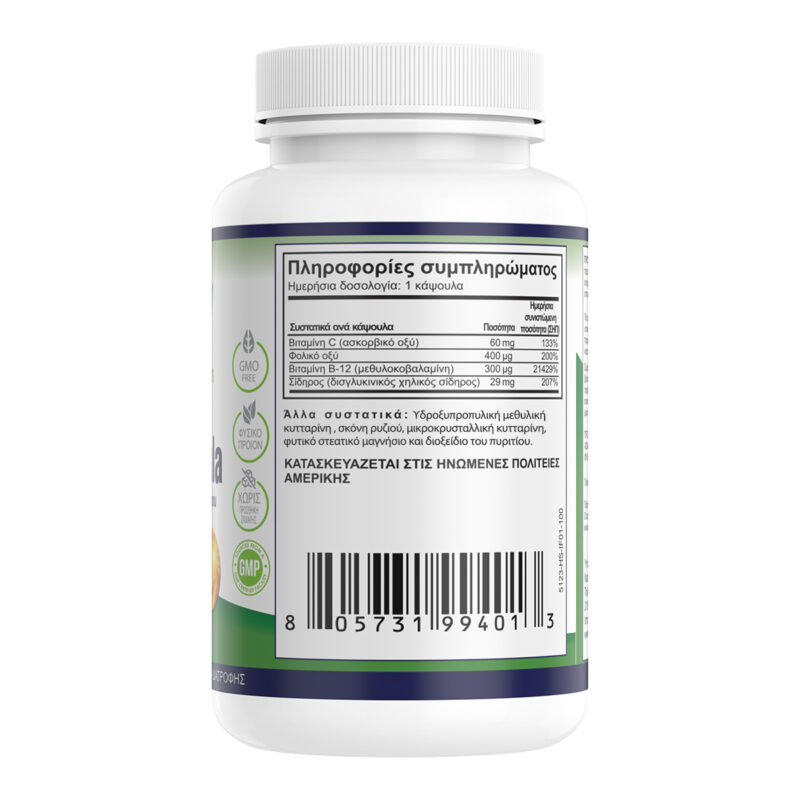 Vegan Natural Vitamins Iron Chelate Formula συστατικά