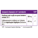 Berberine 500 mg Full Health 60 Κάψουλες