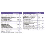 Full health vision support table